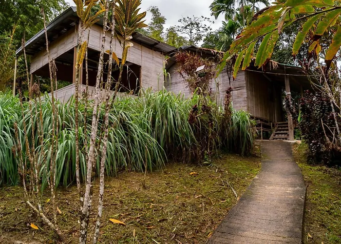 Rain Forest Inn