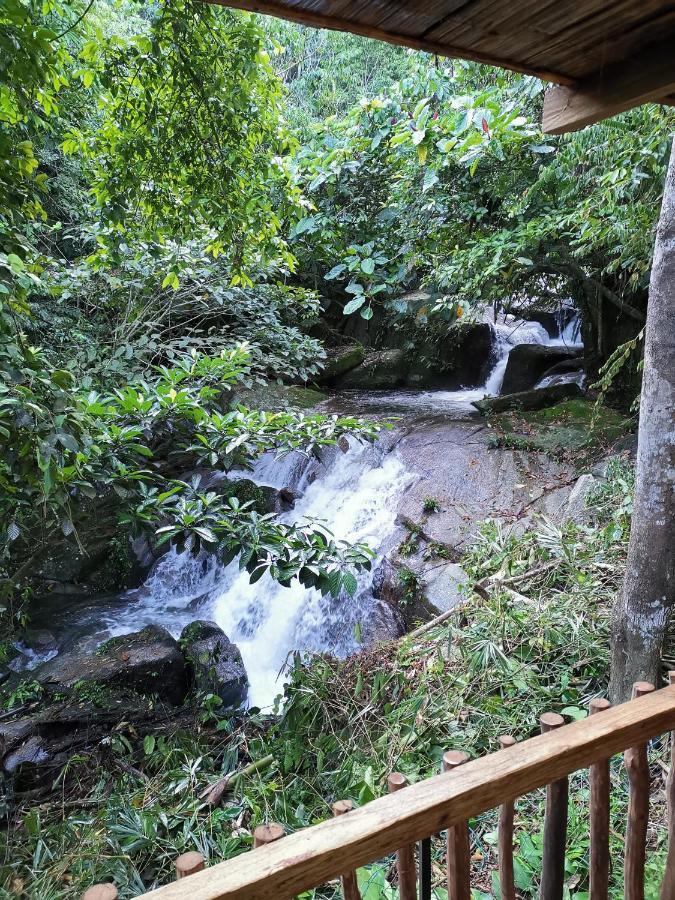 Rain Forest Lodge *