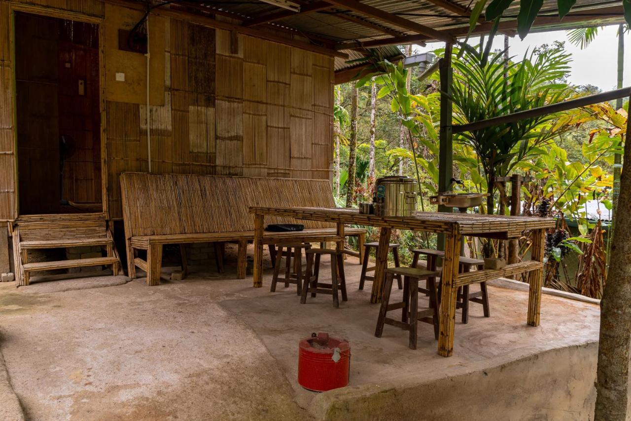 Rain Forest Lodge