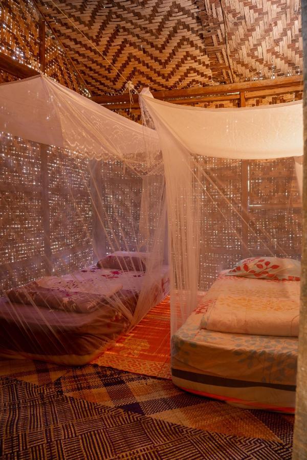 Lodge Rain Forest