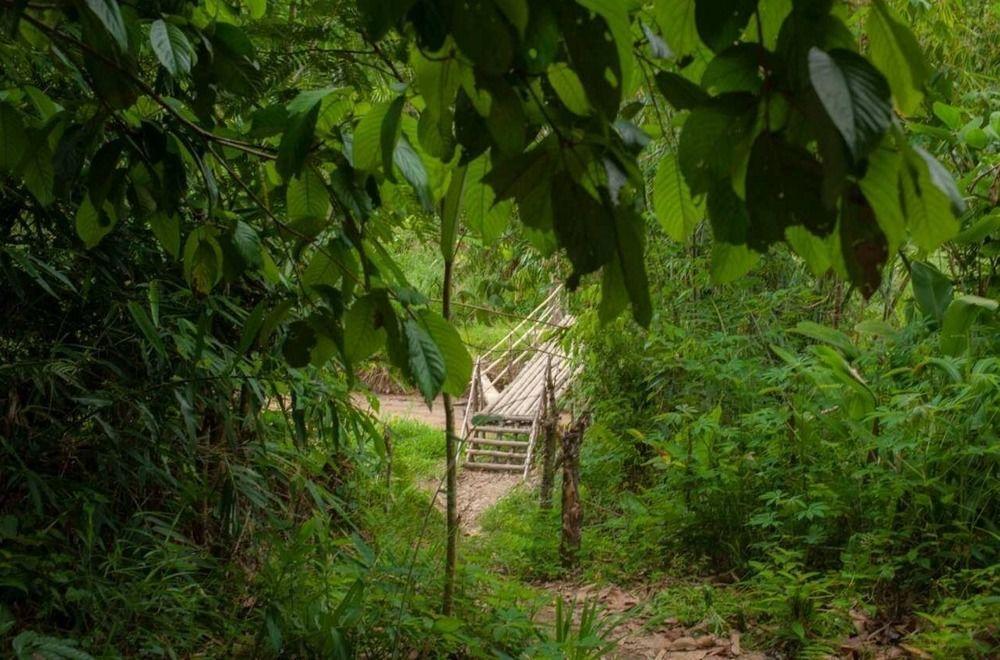 Rain Forest Lodge