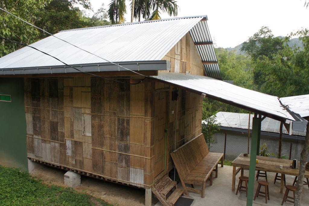Rain Forest Lodge Ringlet