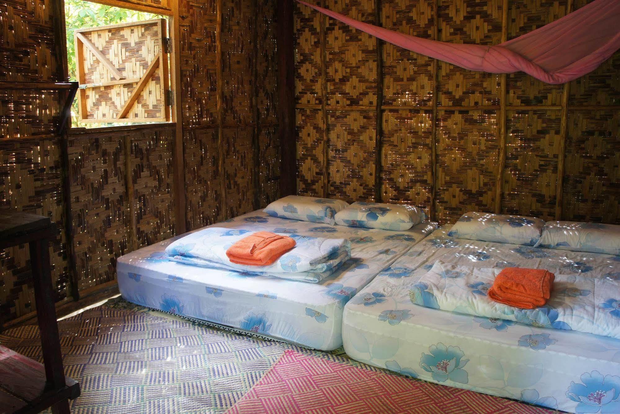 Lodge Rain Forest