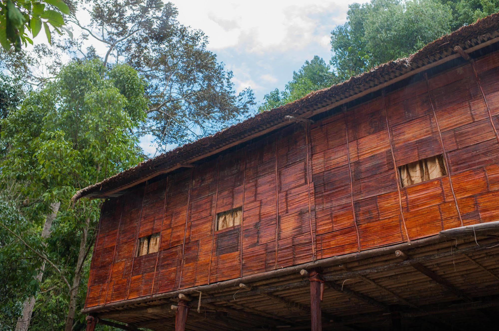 Lodge Rain Forest